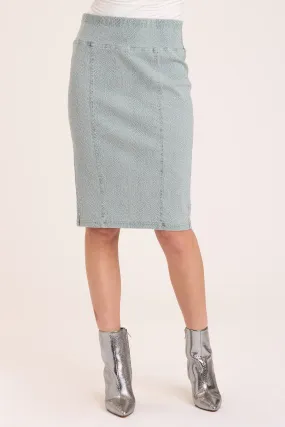 Arleigh High Waist Skirt