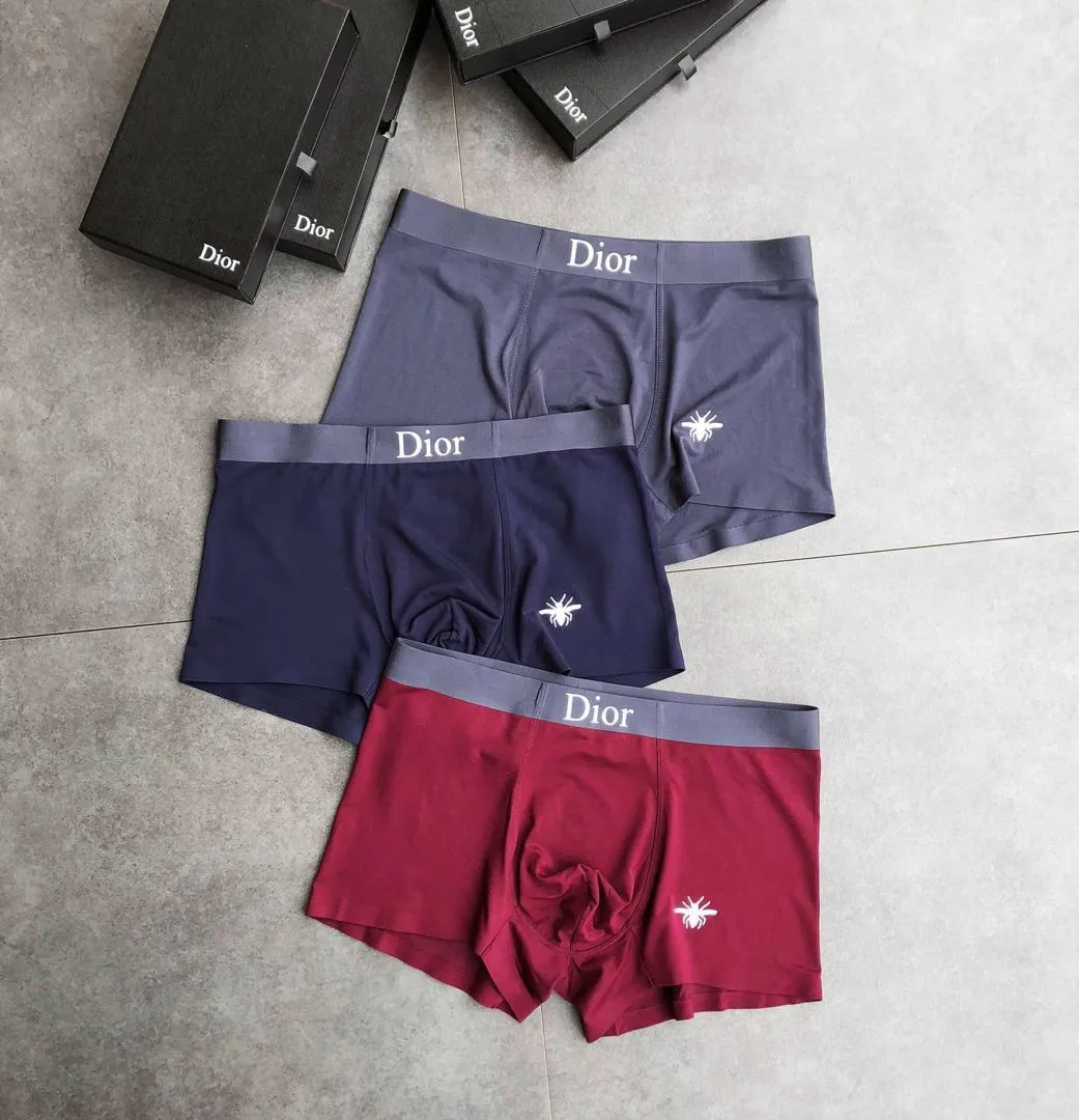 Dio Comfortable Cotton 3 In 1 Grey, Blue And Wine Briefs