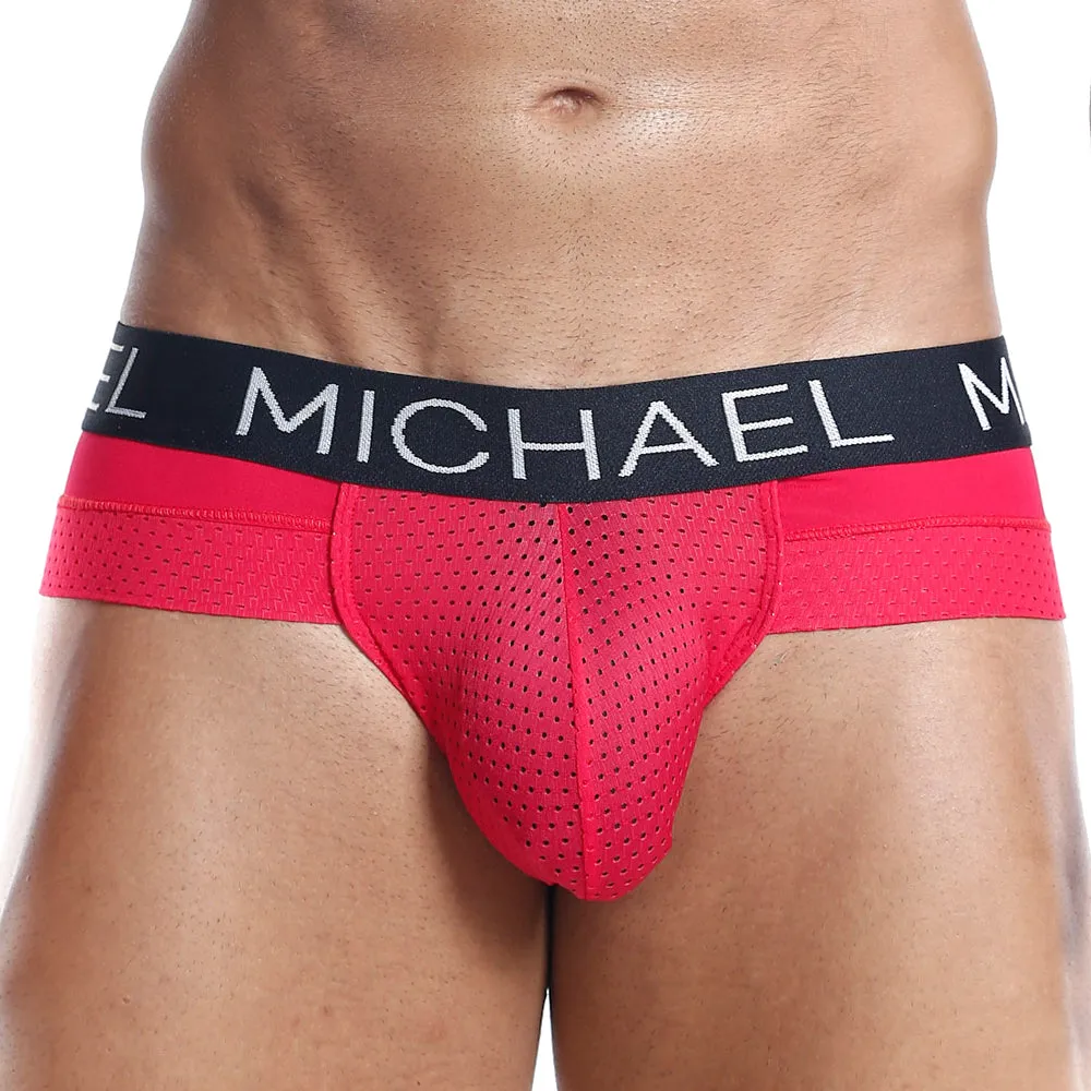 Michael MLH009 Brief