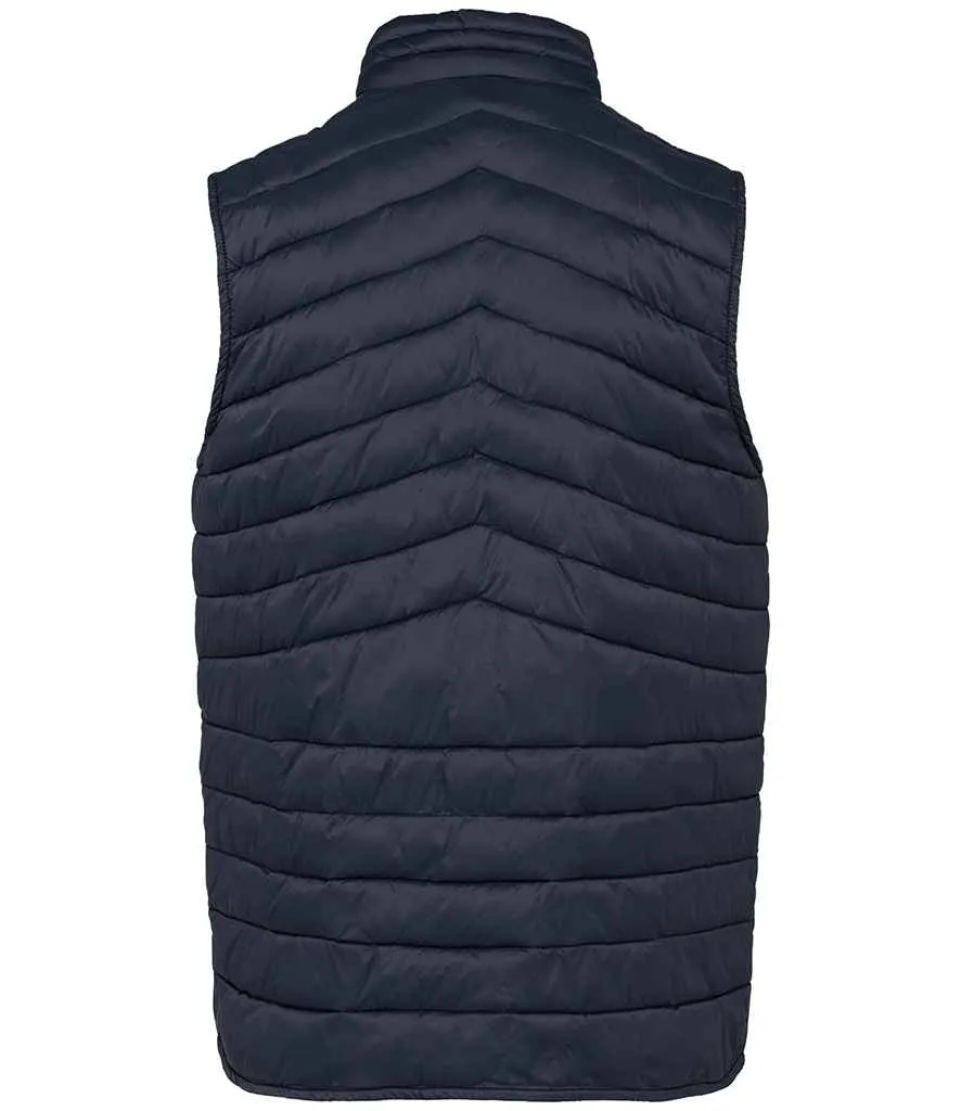 Native Spirit - Light Recycled Bodywarmer