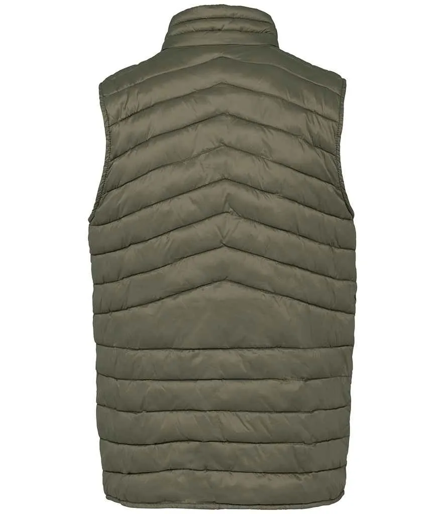 Native Spirit - Light Recycled Bodywarmer