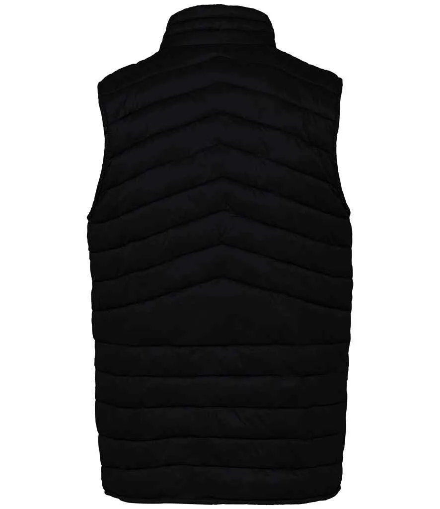 Native Spirit - Light Recycled Bodywarmer