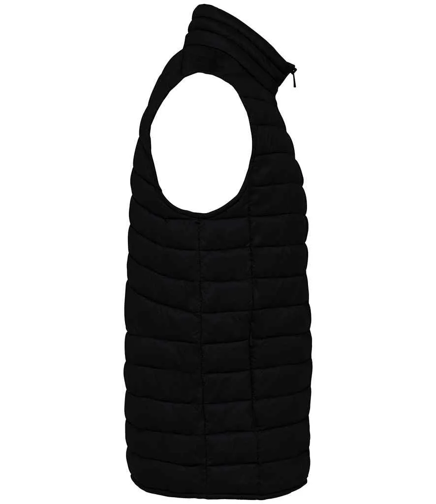 Native Spirit - Light Recycled Bodywarmer