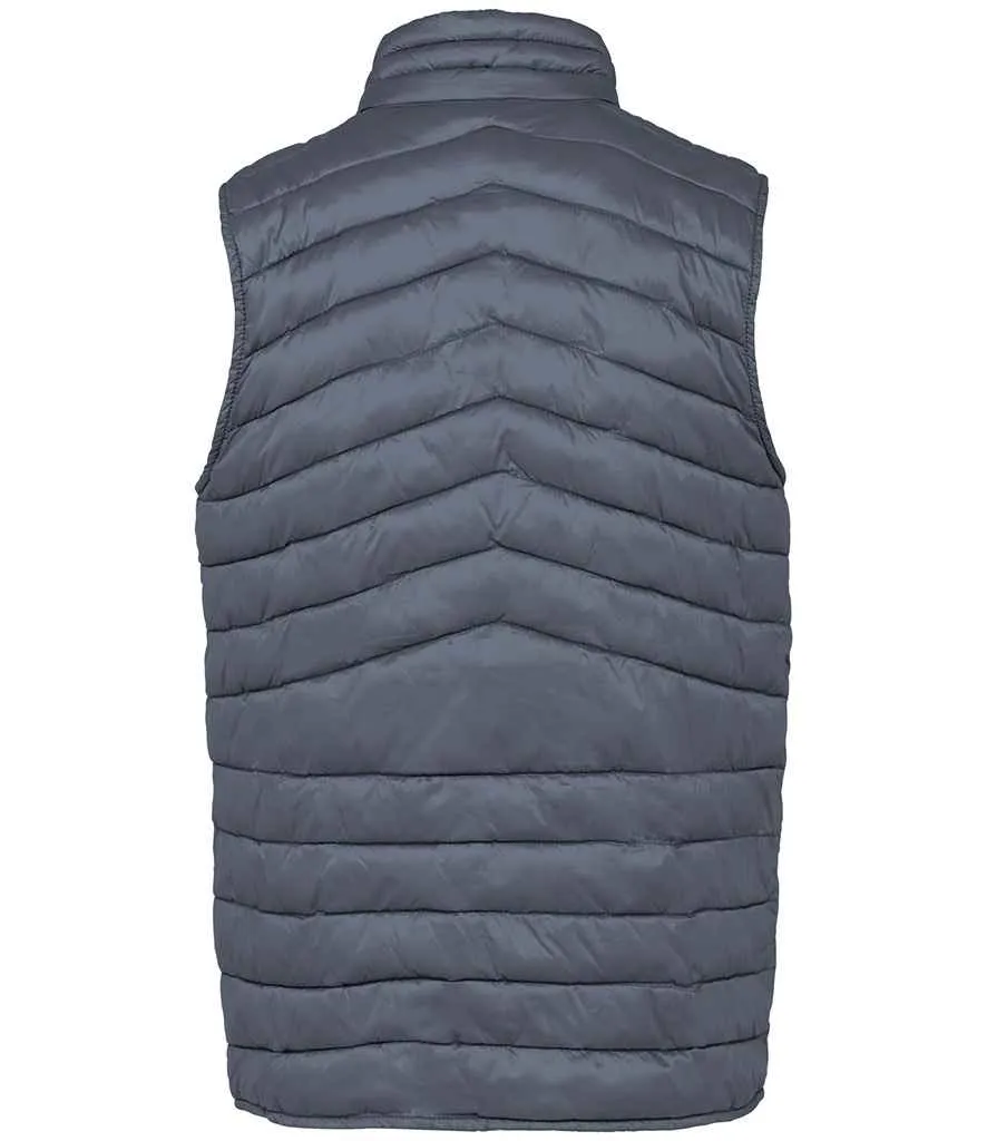 Native Spirit - Light Recycled Bodywarmer