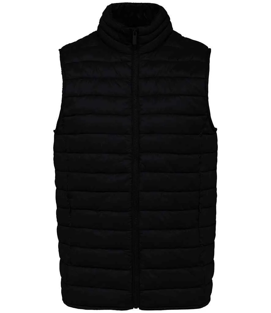 Native Spirit - Light Recycled Bodywarmer