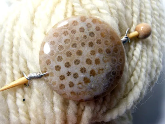 Shawl Pin ~ Wire Wrapped Stone ~ Fossilized Coral with Silver Wire